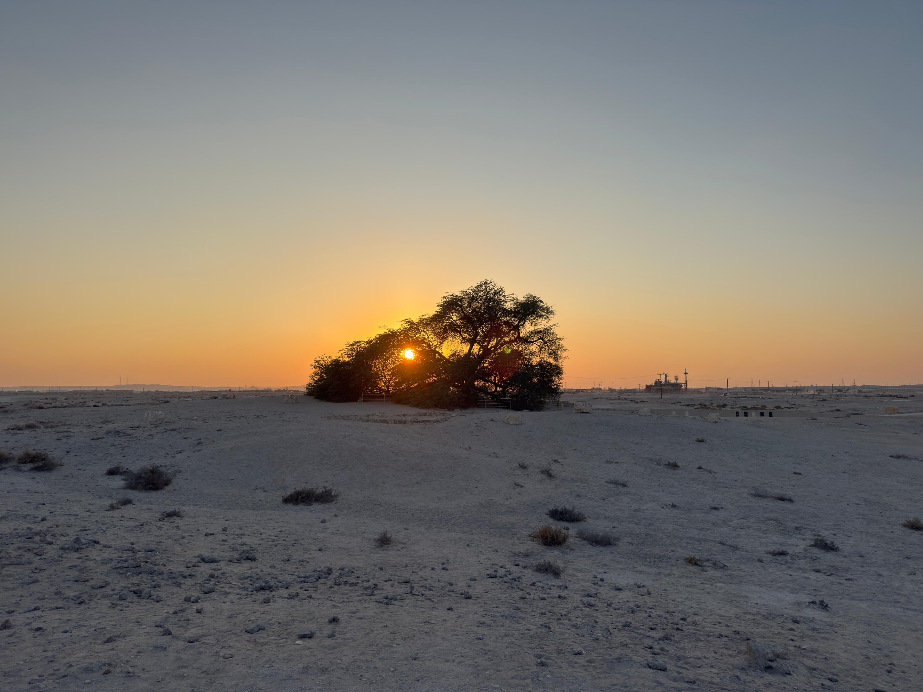 Tree of Life