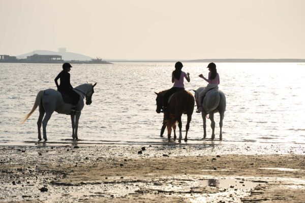 Passeggiata a cavallo